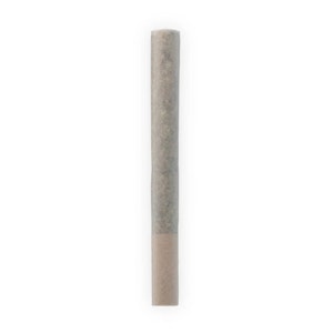 Sevens - Ambassador JOINT 1G