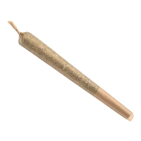 Starship 1 x 1g