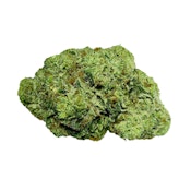 MASTER KUSH ULTRA - 7