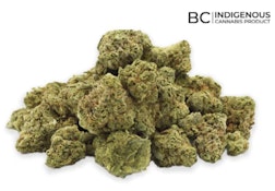 SUPER LEMON HAZE SMALLS - 7G