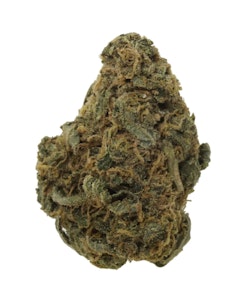 Always Hi - Durban Poison - 14g