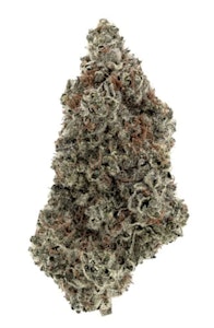 Kootenay Cultivar - Persy Stash O.J. Zainbow - 7g