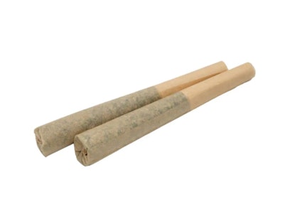 Miss Infused - AMPLIFIED THC BUBBLE HASH INFUSED 0.5G 2PK PRE-ROLLS