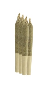 Sheeesh! - TROP JUICE 0.5G 7PK PRE-ROLLS