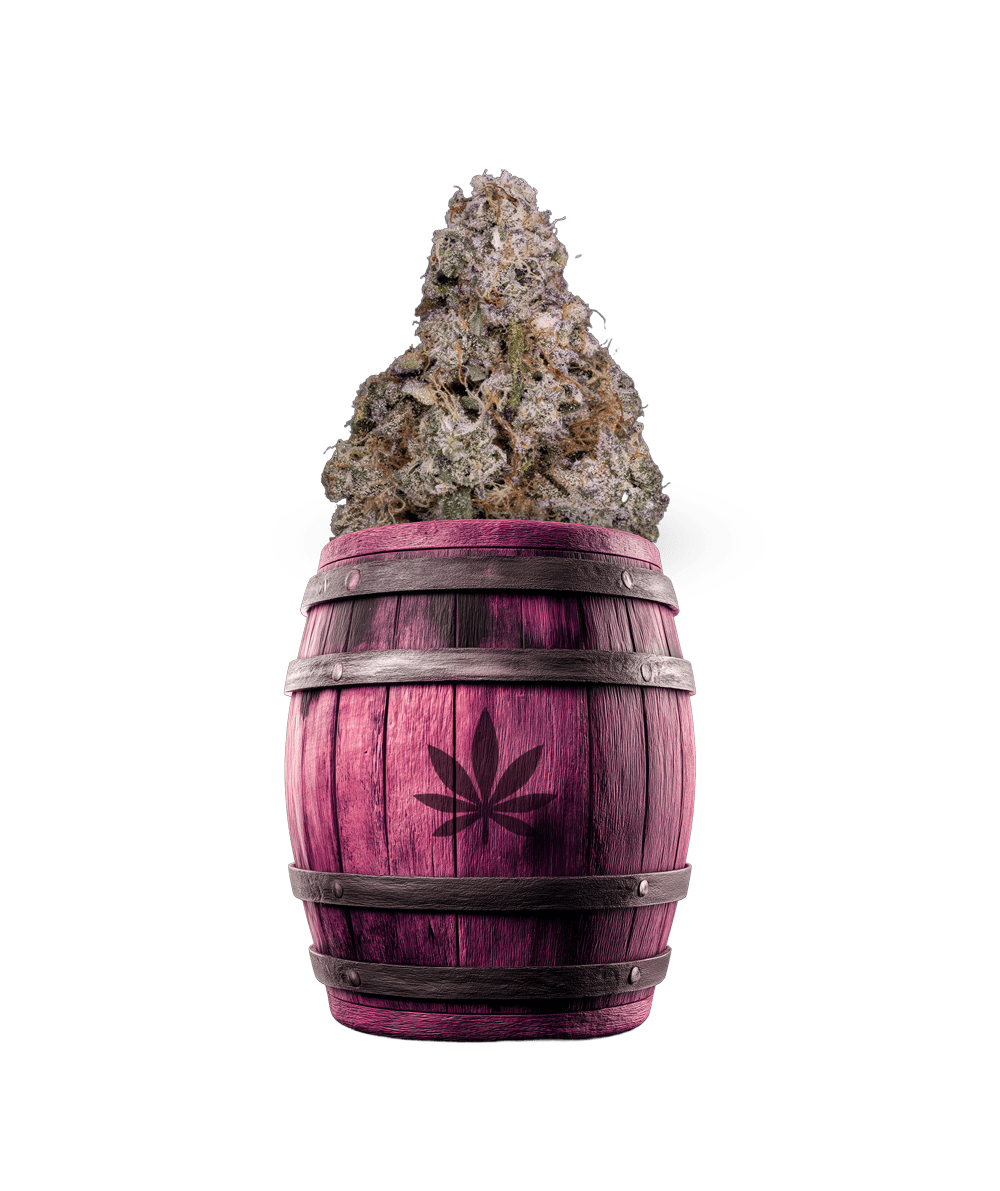Porto Leche 3.5g Dried Flower by Tribal