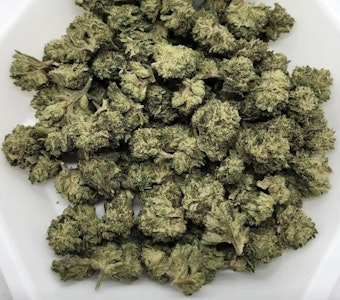 North 40 - Zippy - Blue Gushers - 28g