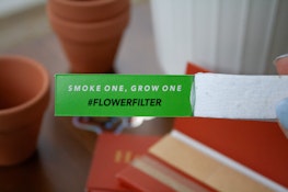 Flower Filter: Organic Cotton Seeded Filter Tips