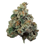 Steel City Green - Extreme - Hybrid - 14g