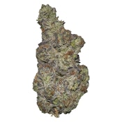 Terp Town Collective - Queen of Tartz 3.5G