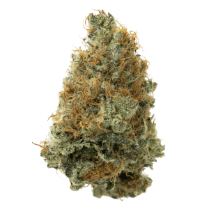 MSIKU - Sweet Island Breeze 1:1