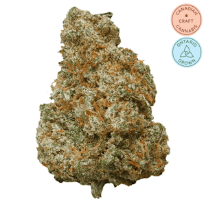 Potluck - Mango Dream 7g