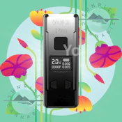 VOLT PRO BLACK / SILVER - IFOG