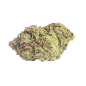 Undrground - VIOLATOR KUSH - 7