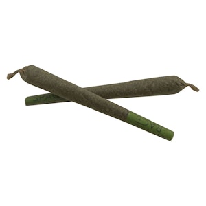 Space Race - Endeavour 2x1g