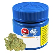 SAN RAFAEL '71 - Chemango Kush 7g Dried Flower