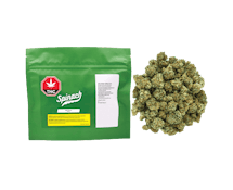 Spinach - Frosted Cream Puffs 28g