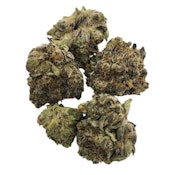 Ripped Alien 7g