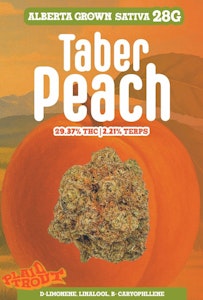 Plaid Trout - Taber Peach 28g Dried Flower by Plaid Trout