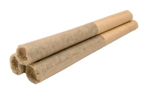 ORANGES IN SPACE PRE-ROLLS - 1.5
