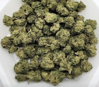 Blue Gushers (28g) - Zippy