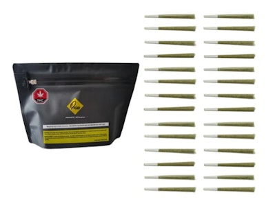 Primo - PAKHUNTR OZ ROLLED - 28 x 1g