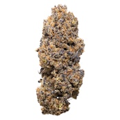 Garlic Fumez Dried Flower 7g Dried Flower
