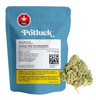 Potluck - Sugar Shack - Northern Lights X Sugar Cookies  7g Main Image