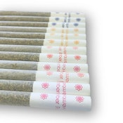 Blasters Multi Pack 12 x 0.5g Pre-Rolls