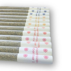 NOVEMBER RAIN - Blasters Multi Pack 12 x 0.5g Pre-Rolls