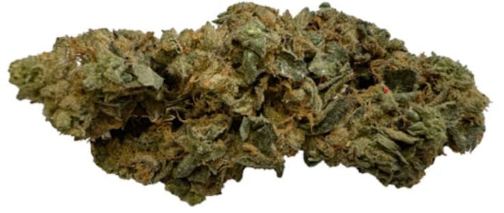 Indigenous Bloom - GAS NASTY - 3.5G