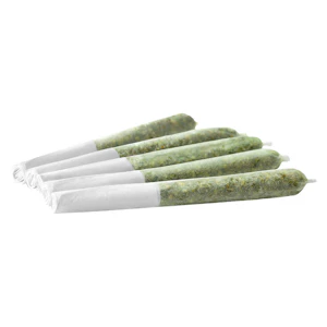 Spinach - Peach Punch 5 x 0.5g Infused Pre-Rolls