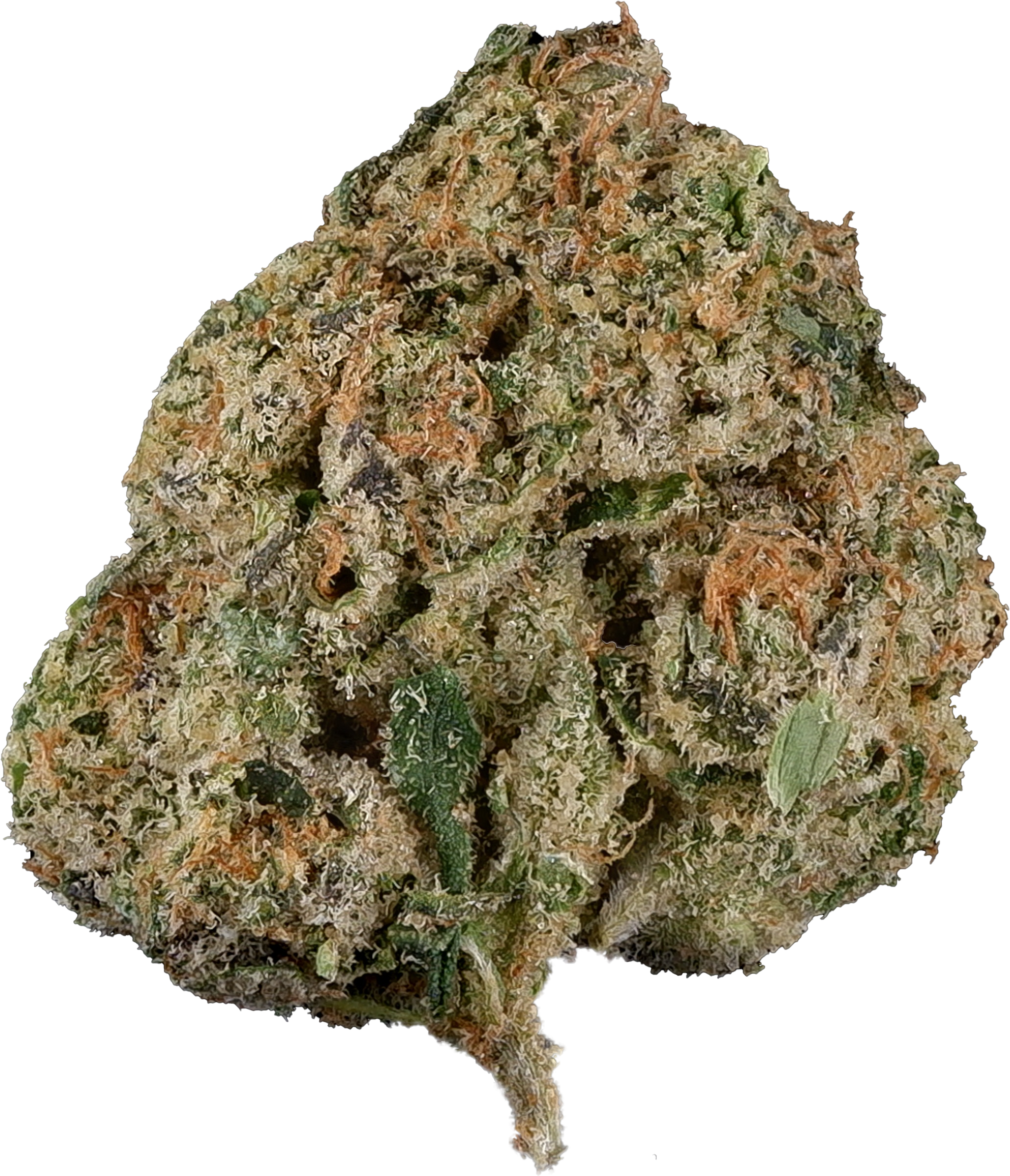 Strains - First Class Gas | 14g