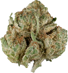 Hidden Stash - Hidden Stash - Motor Breath | 3.5g