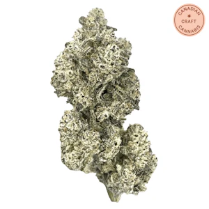 HighXotic - Royal Dive#5: Purple Zombie 3.5g