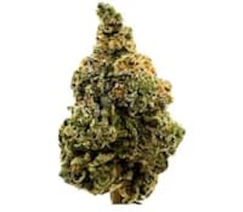 All Nations - All Nations - LEMON GELATO - 3.5g