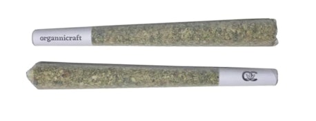 KILLER CUPCAKE PRE-ROLLS - 0.75g x 2