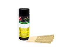 Couch Potato 4 x 1g Pre-Rolls