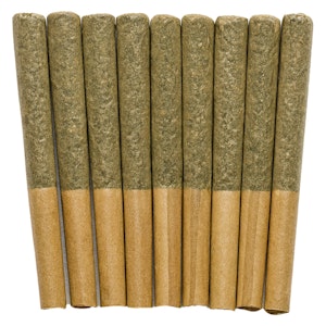 Buzz'd - Exotic Stingerz Pre-Roll 10x0.35g