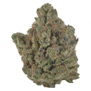 Orange Turpentine 14g Dried Flower