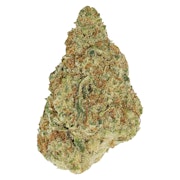 Winter Frost 7g Dried Flower