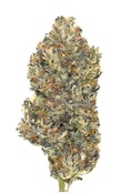 Blue Pave - 3.5g