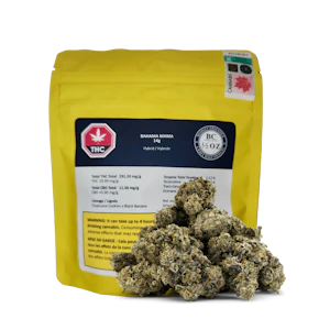 BC 1/2 OZ - BAHAMA MAMA - 14