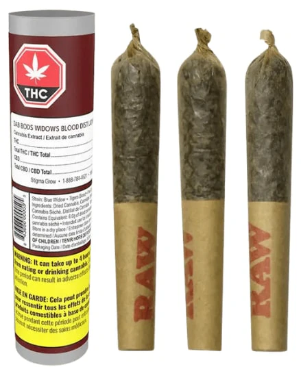 Dab Bods - DAB BODS - Widows Blood Disti  3 x 0.5g Joints Main Image