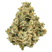 Strawberry Grail | 3.5g | Cheers Cannabis