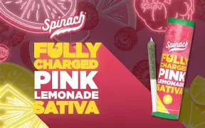 Spinach - Pink Lemonade 5x0.5g Main Image