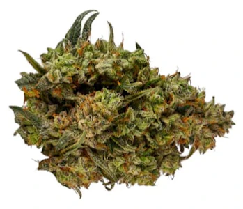 Orchid CBD - CBD RUNTZ - 3.5