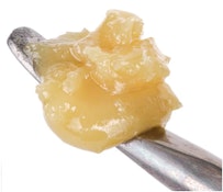 Sauce Rosin Labs - Bubblegum Signature Live Rosin LTO 1g