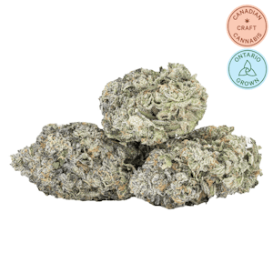 Sixty Seven Sins - Fishy Fingers 3.5g