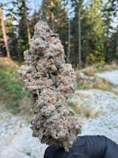 BUBBLEGUM KUSH MINTS - 28G