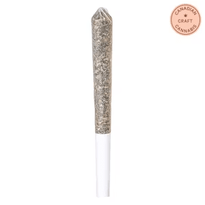 Potluck - Blueberry Tart 1x0.5g